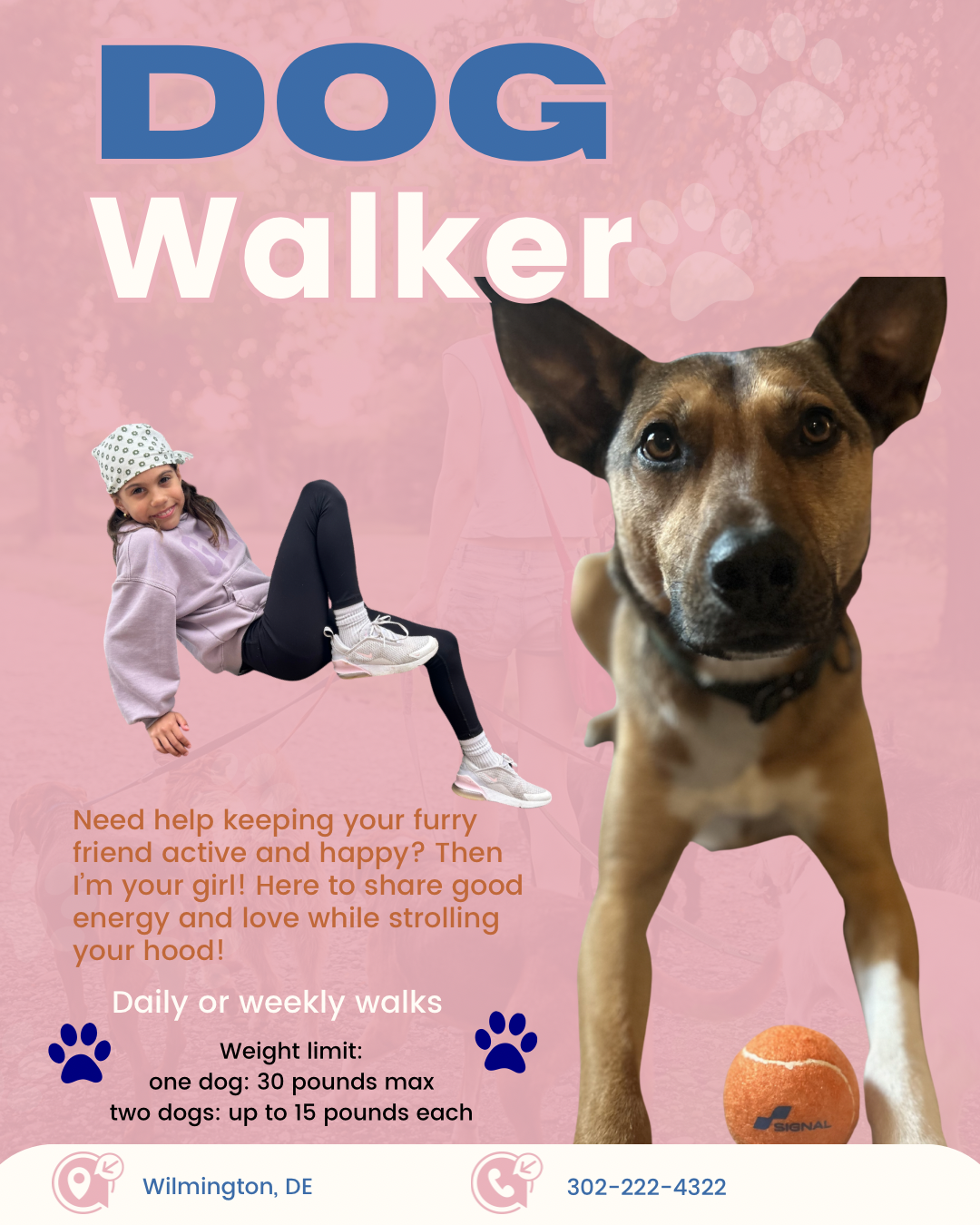 Vera's Paw Patrol dog walking flyer — Wilmington DE, 302-222-4322